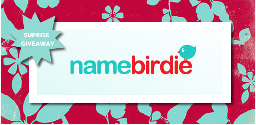 Surprise Giveaway from Name Birdie