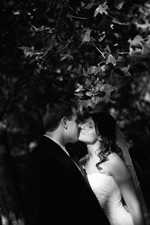 Black and white wedding kiss under leafy tree canopy