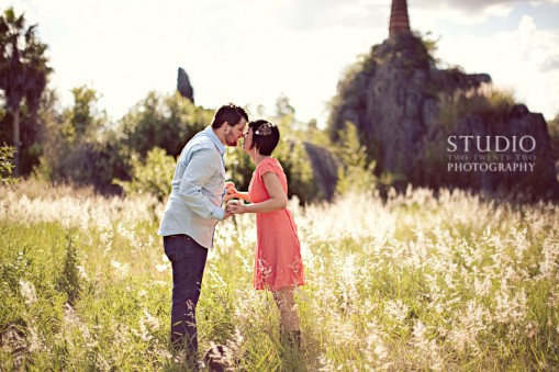 Engagement at an Abandoned Theme Park