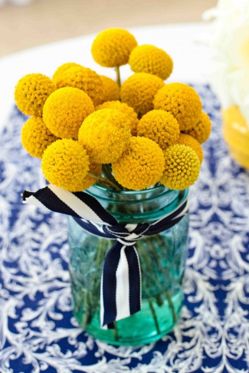 Yellow Craspedia flowers in a teal jar with blue and white ribbon