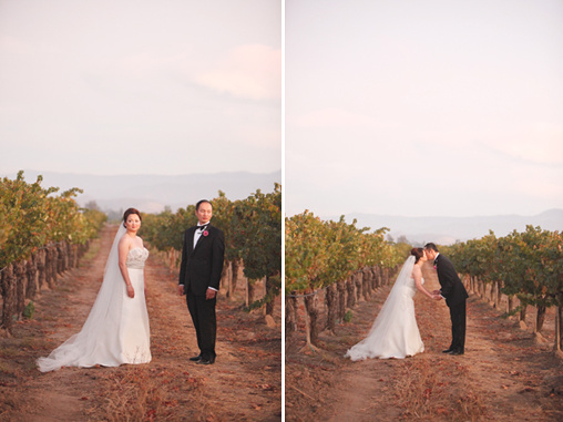 Classic Vineyard Wedding From Lane Dittoe