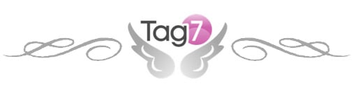 tag7-logo-weddngchicks