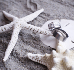 wedding rings shot with starfish