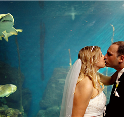 Underwater wedding kiss with fish in the background