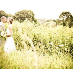 Wedding kiss in a field of wildflowers on a sunny day