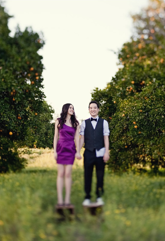An Orange County Wedding Engagement