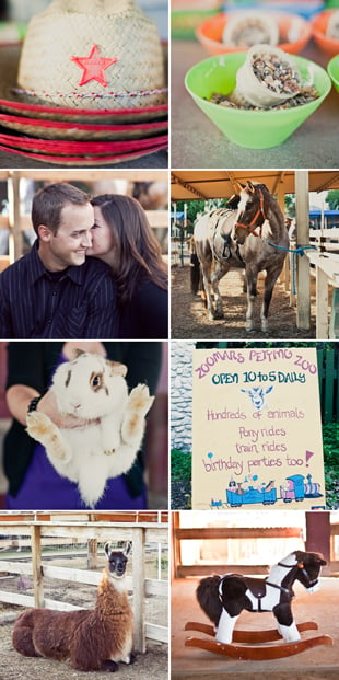 {engagement session} petting zoo and tacos!