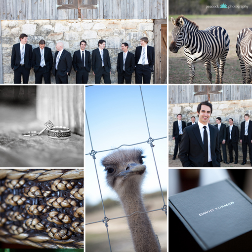 Peacock Photography - Wedding at Serengeti Resort