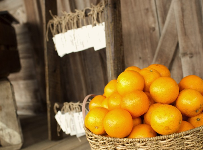 Rustic Orange Grove Wedding