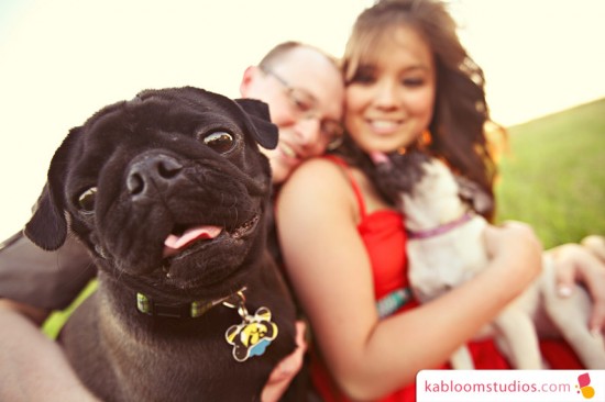 Happy couple with pug dogs posing for a cute family portrait