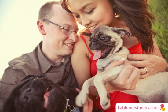 Couple cuddling with their dogs