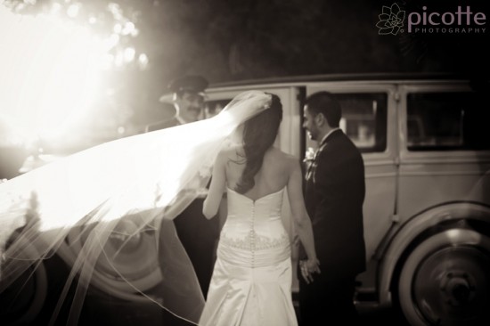 a romantic, elegant wedding . picotte photography
