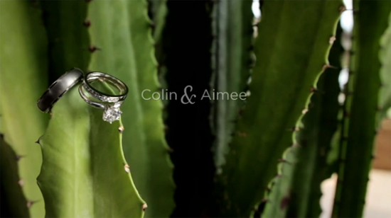 Colin & Aimee | Weddings by FortyOneTwenty