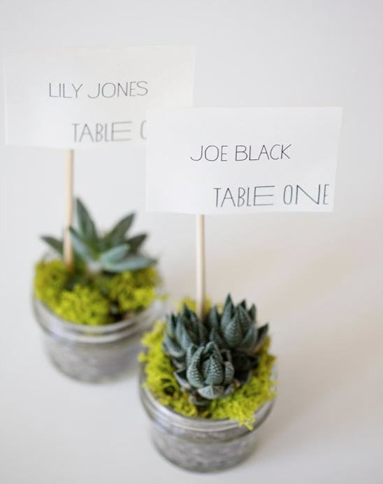 Do It Yourself Eco Friendly Succulent Place Cards