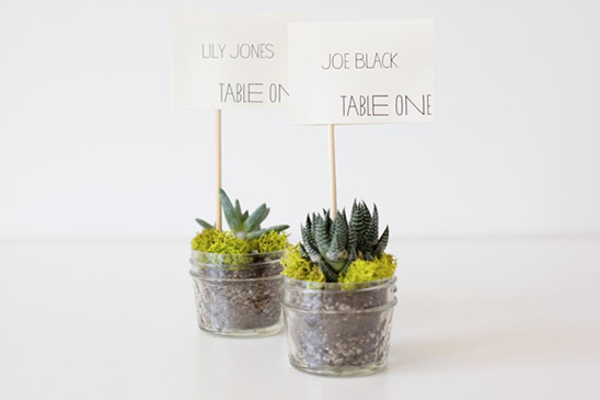 Do It Yourself Eco Friendly Succulent Place Cards