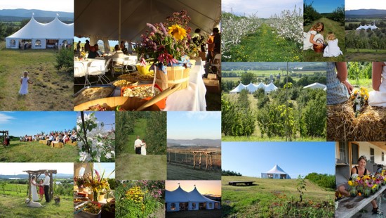Farmtastic Vermont Orchard Wedding Venue