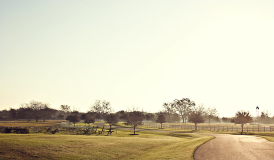 Guestless Texas Wedding Ceremony