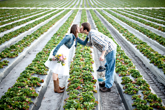 Couple kissing passionately in a strawberry field, engagement photo