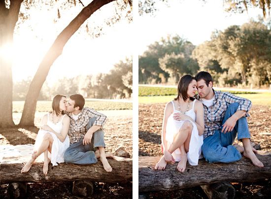 Romantic couple sitting on a log in a sunlit park, kissing