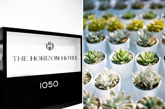 The Horizon Hotel sign with small succulents plants in white pots