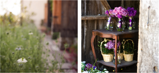 Purple flowers in vases and baskets