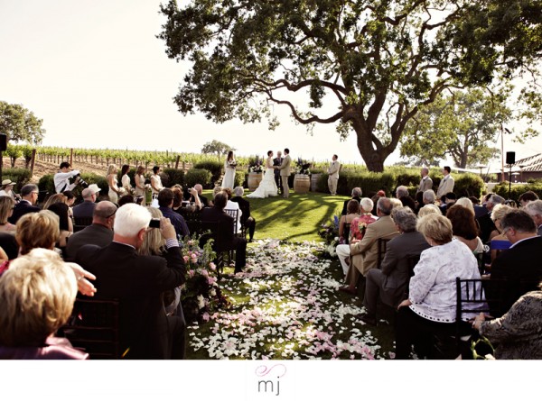 Outdoor vineyard wedding ceremony under a large tree