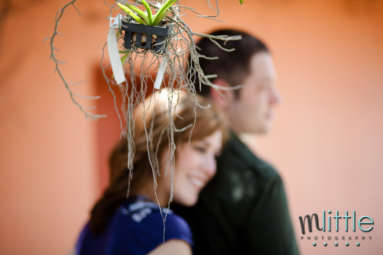Couple and plant in hanging planter