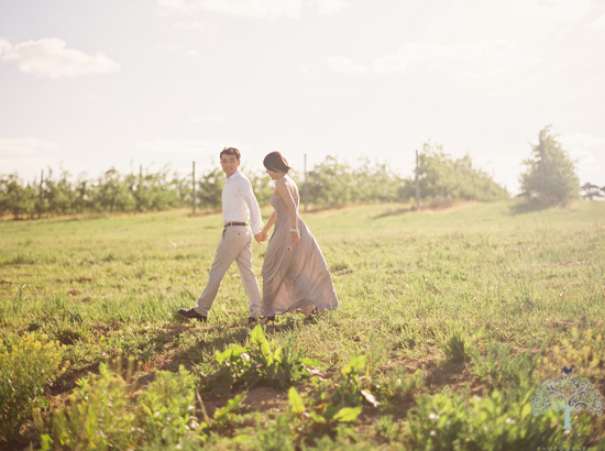 Couple strolling hand-in-hand through a sunlit field