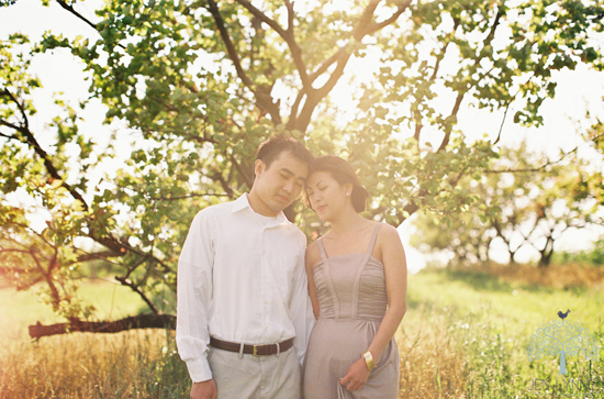 Romantic couple embracing under a sunny tree