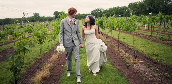 Couple wedding in vineyard