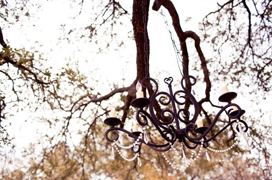 Elegant chandelier suspended from a tree branch for a wedding