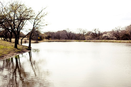 Trees by a lake reflecting in the water on a sunny day