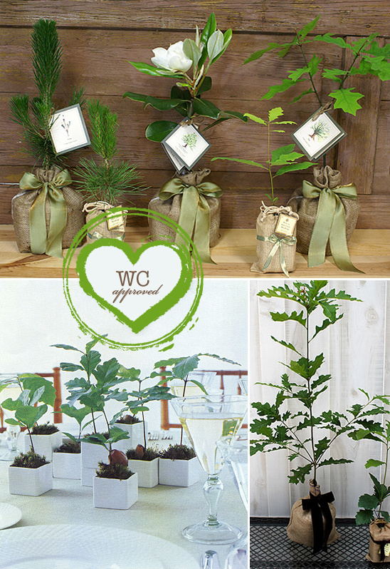 Tree Wedding Favors