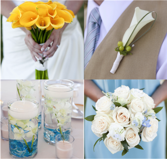 A Wedding at Endicott College | Mark Davidson Photography