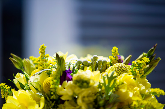 Sweet Denver Wedding :: heidi chowen photography