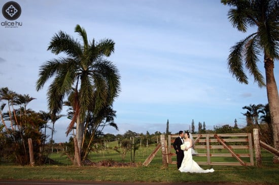 haiku mill, maui | destination wedding photography