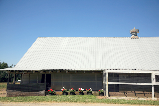 An Oregon Farm Wedding