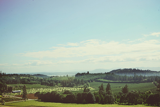 Chelsea + Adam : Oregon Vineyard Wedding