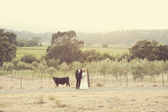 Kate Harrison Photography | Beltane Ranch Wedding Photography, Glen Ellen, CA