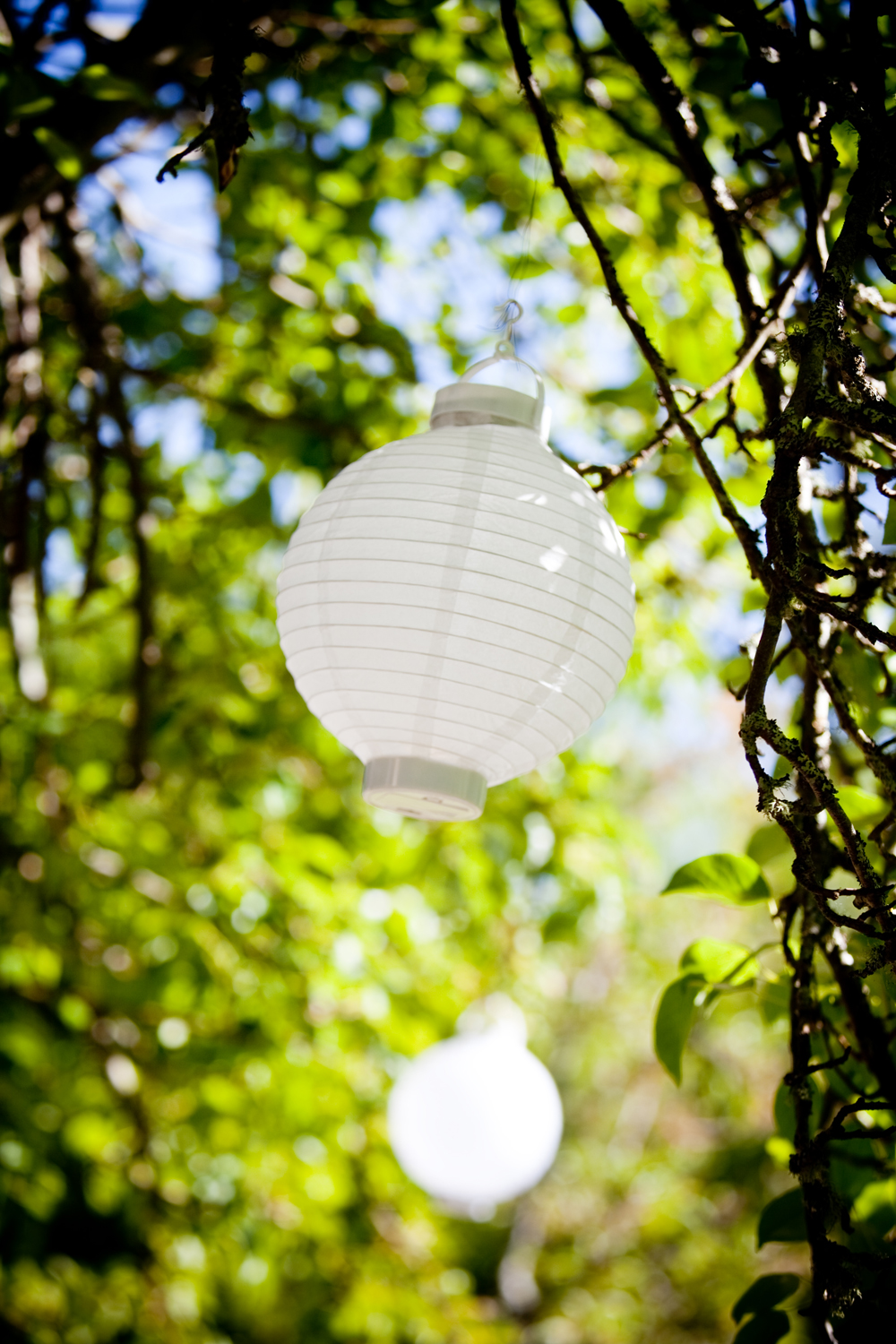 hawaiian-themed-wedding-ideas