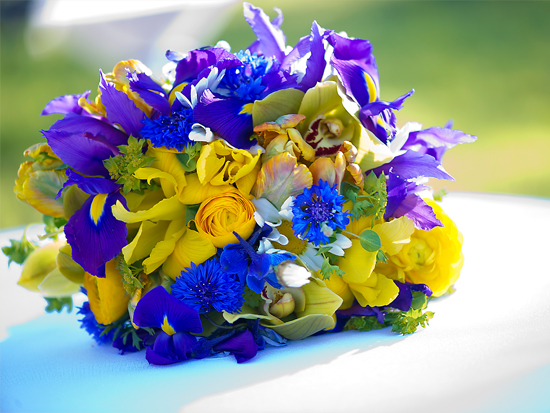 Vibrant bouquet of yellow and blue flowers
