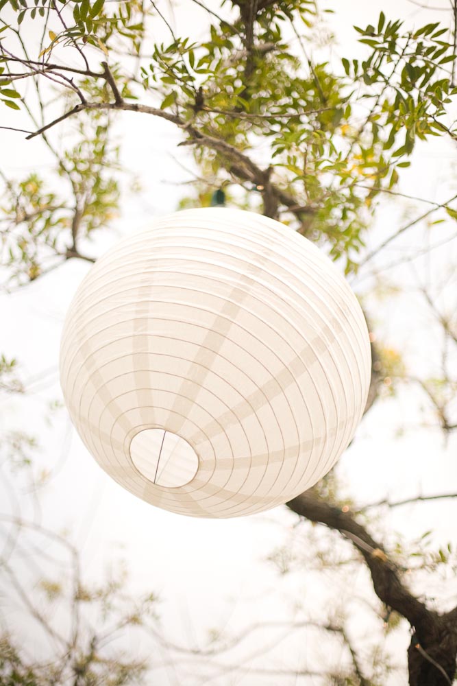 malibu-graphic-designers-wedding