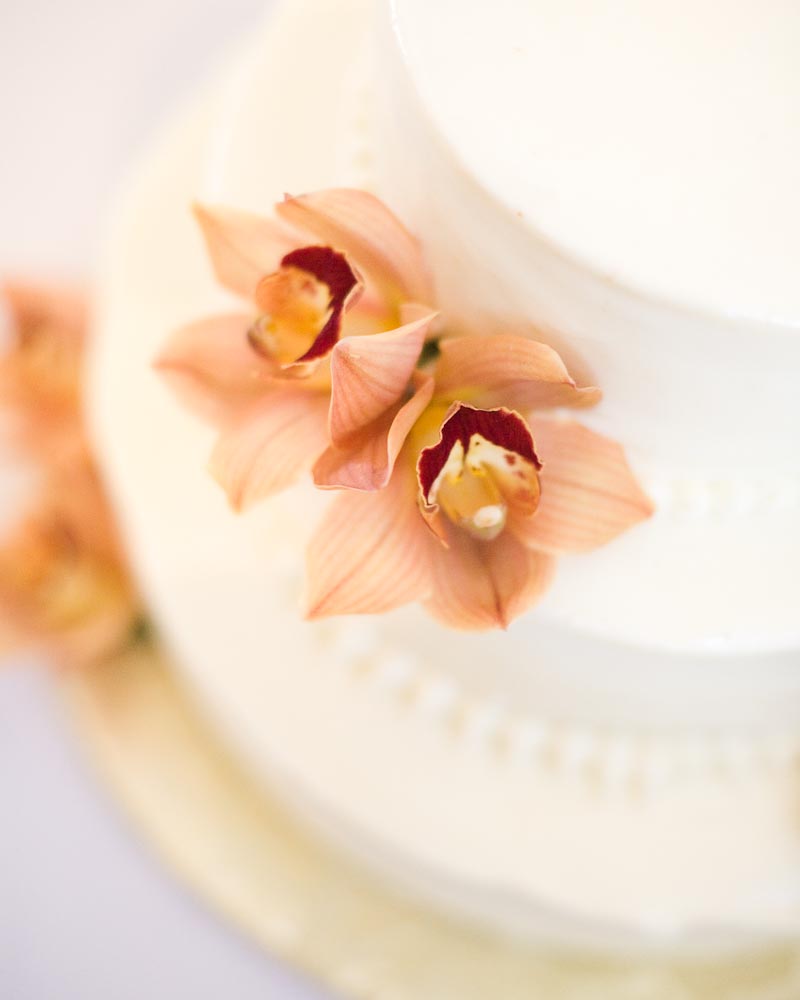 malibu-graphic-designers-wedding