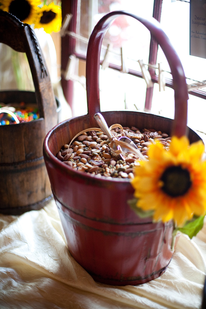 michigan-barn-yard-wedding