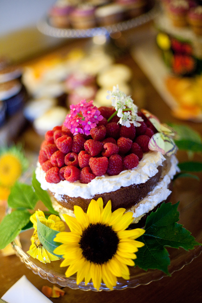 michigan-barn-yard-wedding