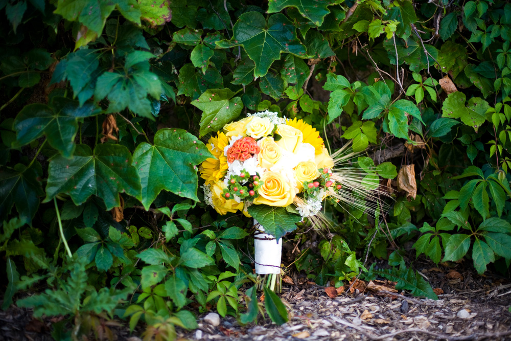 michigan-barn-yard-wedding
