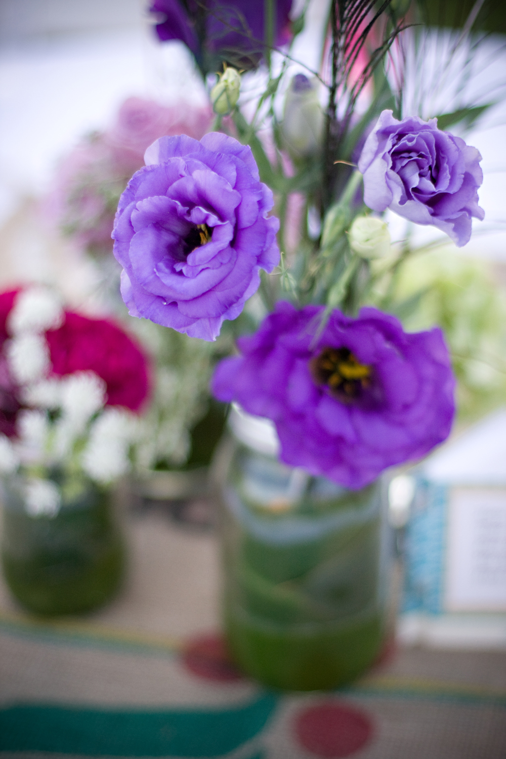 orange-county-backyard-wedding