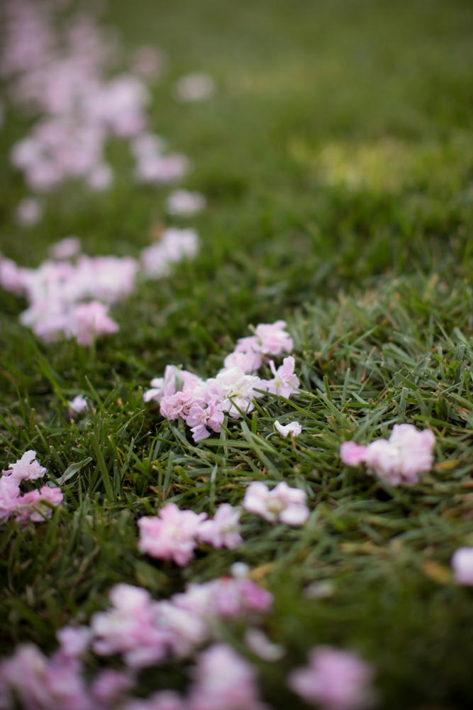 pink-wedding-decor-ideas