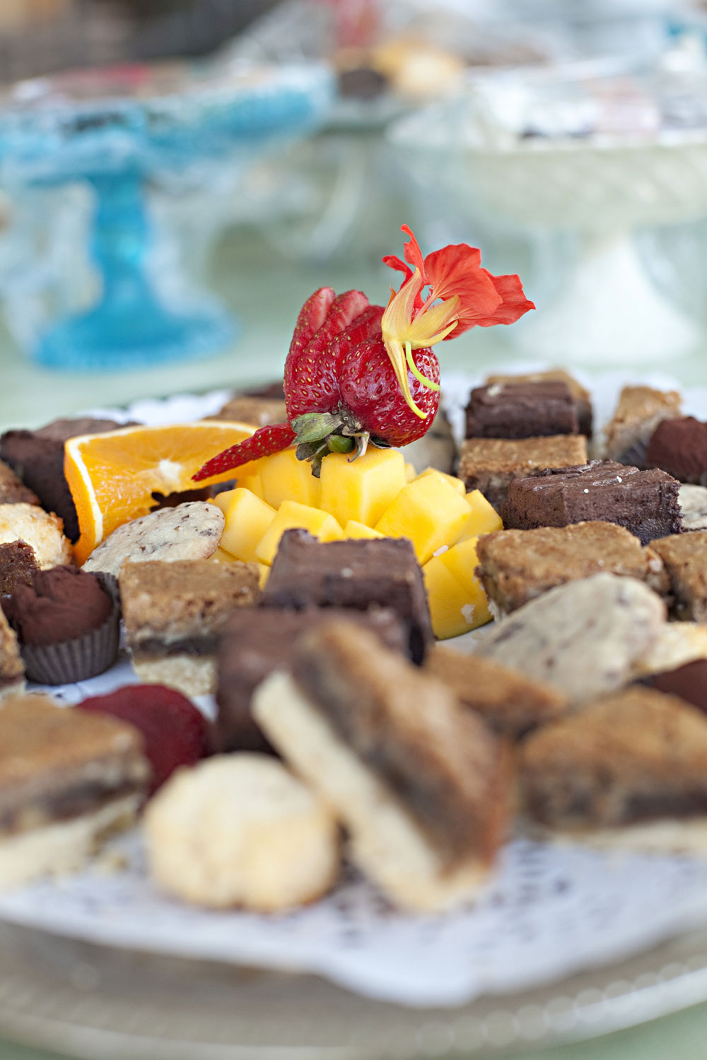 quebec-wedding-with-casual-charm