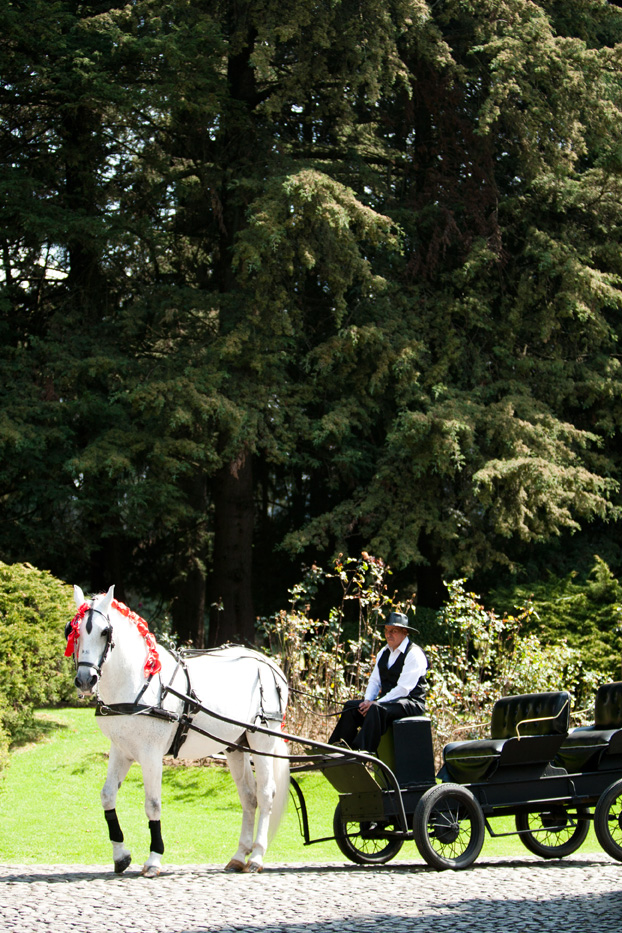 san-luis-obispo-holland-ranch-wedding